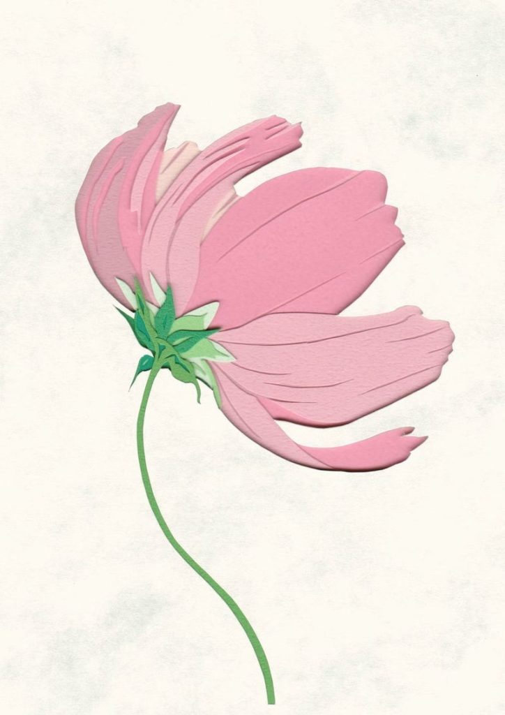 下絵カタログ№2-20E「コスモス-01」